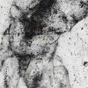 Stare, Ferle. Courtesy of Z Gallery Arts