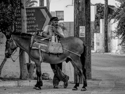 A spasso con l'asino