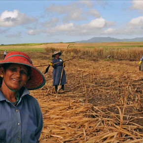 Pablo Bartholomew. Agricultores indianos