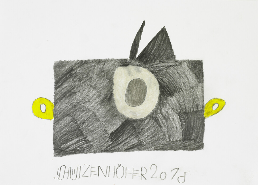 Günther Schützenhöfer camera
Pencil,
2015