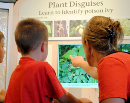 Native Plants and the Environment. Courtesy of Montshire Museum of Science
