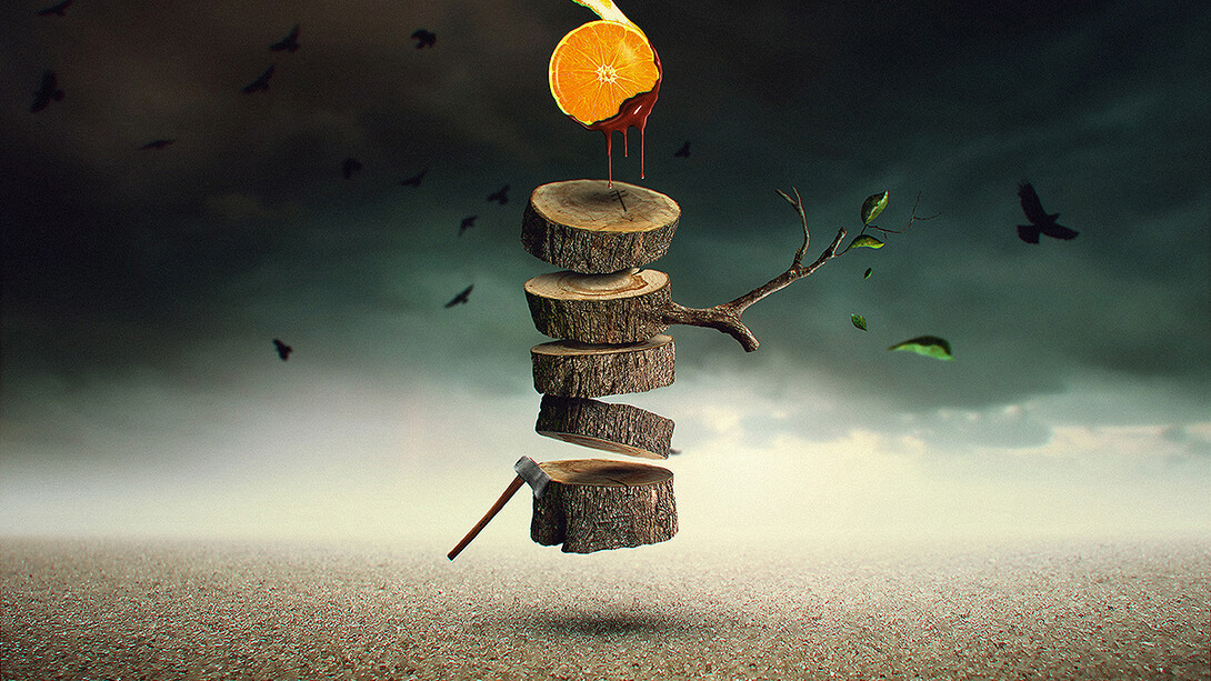Elton Fernandes, The orange tree