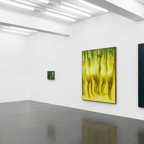 Xie Lei, Désarroi, exhibition view. Courtesy of Sies + Höke