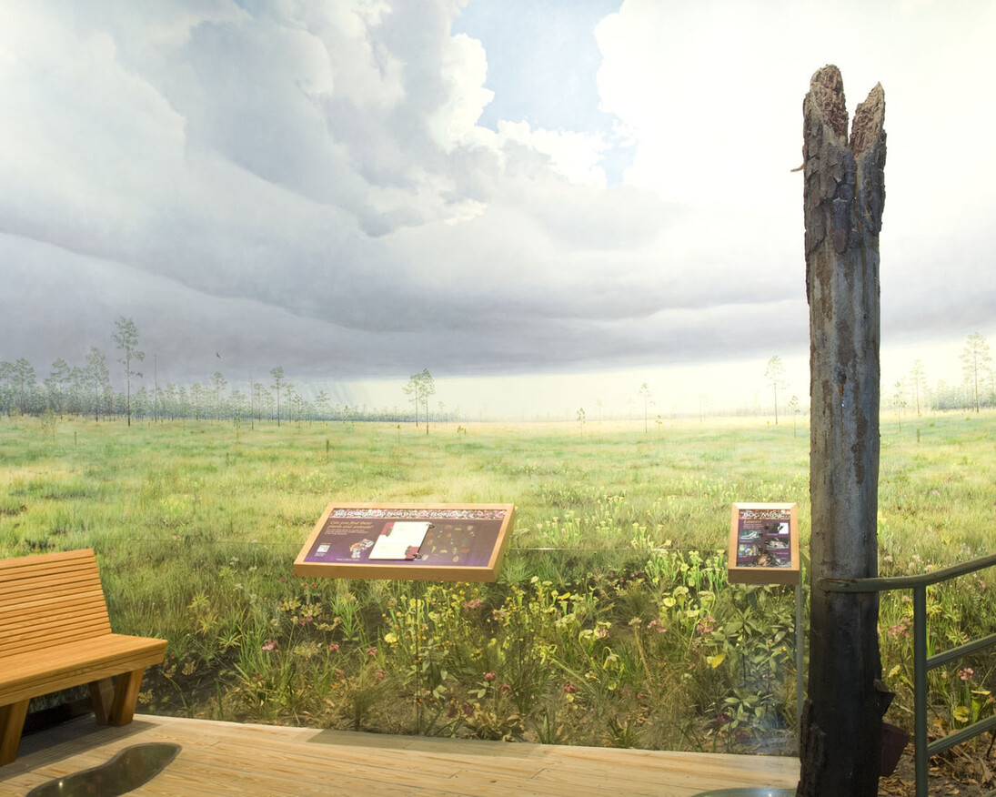 Waterways & Wildlife. Courtesy of Florida Museum of Natural History