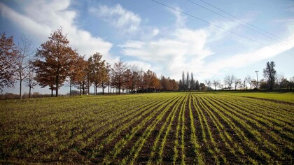 La carenza di cibo in Europa si rifletterà presto nei Paesi importatori del Sud del mondo