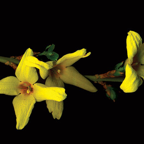 All Images: Barbara Freeman 'Drifting The Bann'. Film Still 2015