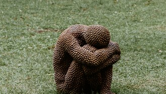 Anna Gillespie, poderosa escultura figurativa