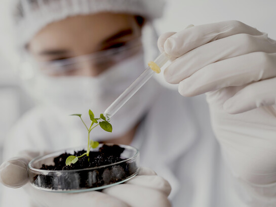 A scientist waters a small plant in the lab, reflecting the nurturing side of biotechnology and future farming