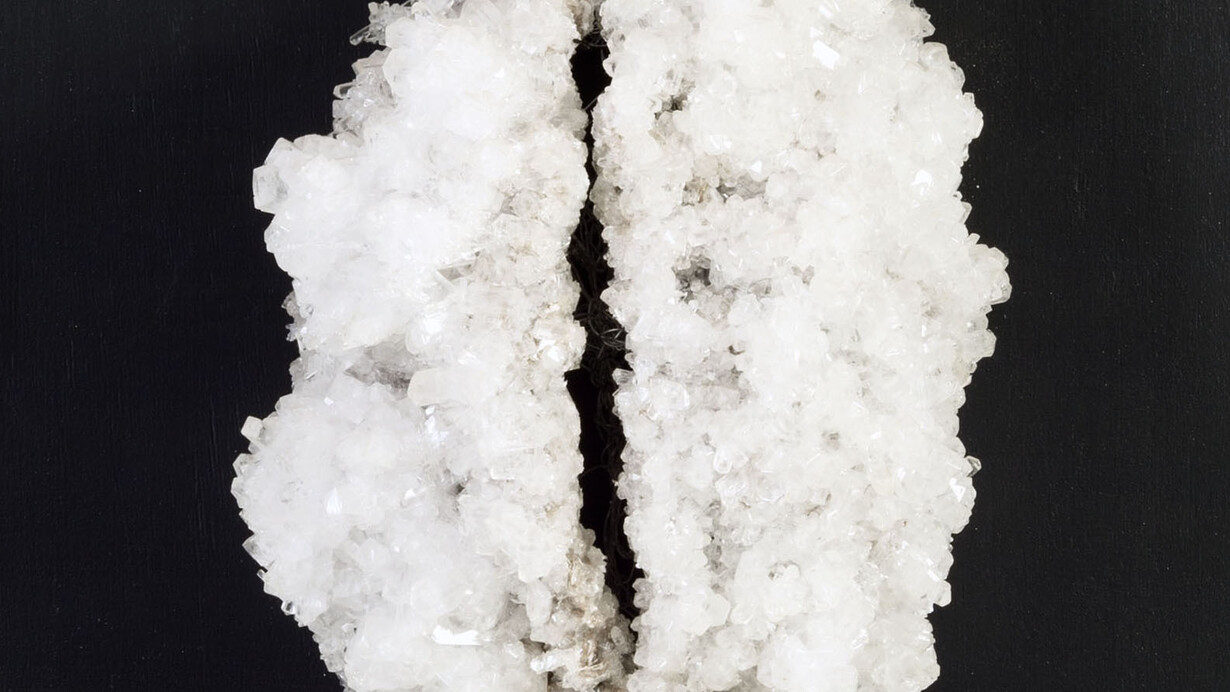 Francesca Romana Pinzari, Brain, 2016, cristalli di solfato di magnesio su struttura metallica, cm 50x50x20. Ph Andrea Veneri