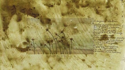 La canzone di Valentina