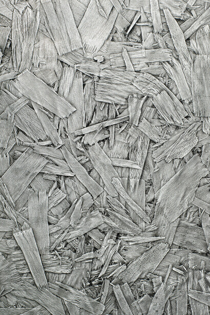 Les rejets. Courtesy of Art Mûr