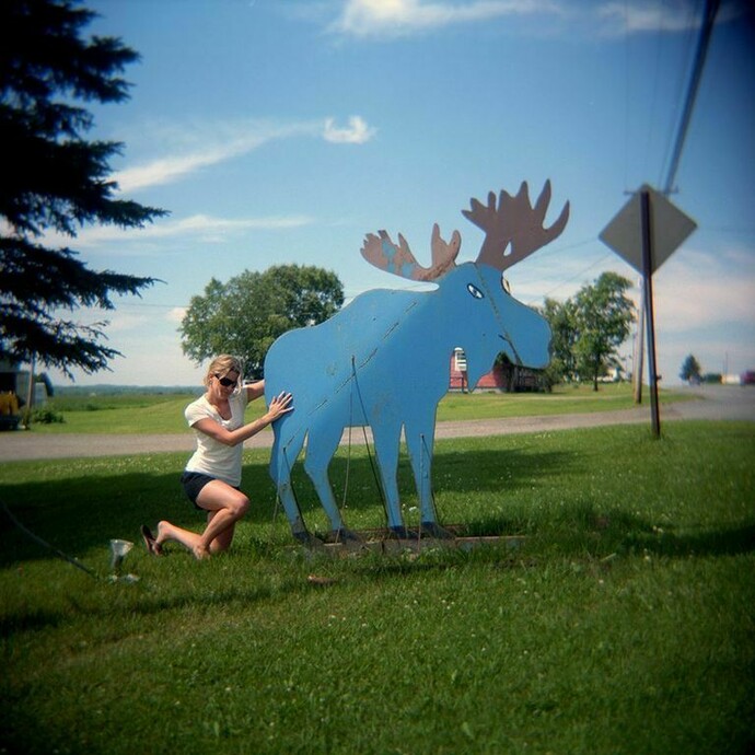 Gordon Stettinius, Moose Examination, US Route 1, ME, 2010  