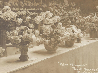 Madame Caroline Testout. Courtesy of Oregon Historical Society