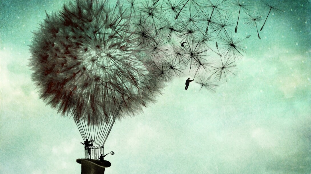 A new life
