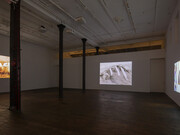 Nashashibi/Skaer, Pygmalion margaret ursus uan, exhibition view. Courtesy of Peter Freeman, Inc.