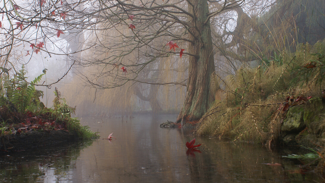 The melancholy season