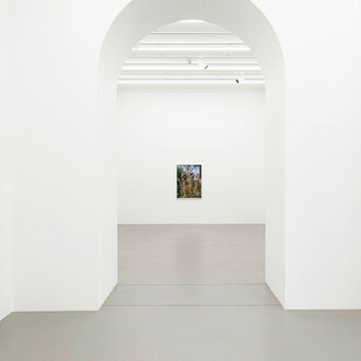 Torbjørn Rødland, Slow life strategies, ausstellungsansicht. Mit freundlicher genehmigung der Galerie Eva Presenhuber