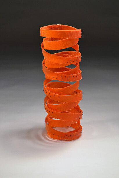 Emerge/Evolve 2016. Courtesy of Bellevue Arts Museum