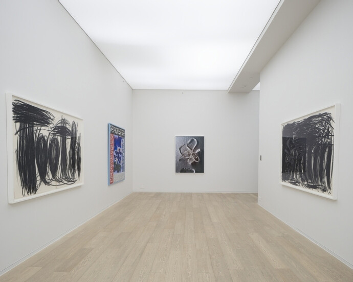 Trip of the Tongue, Exhibition view. Courtesy of Simon Lee Gallery