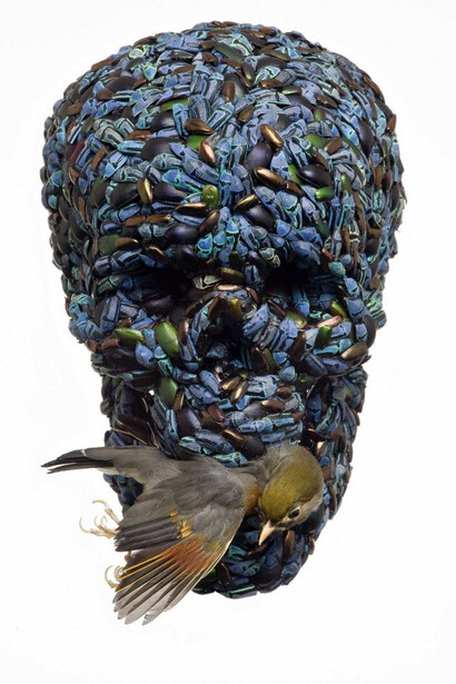 Jan Fabre. Courtesy of MAM
