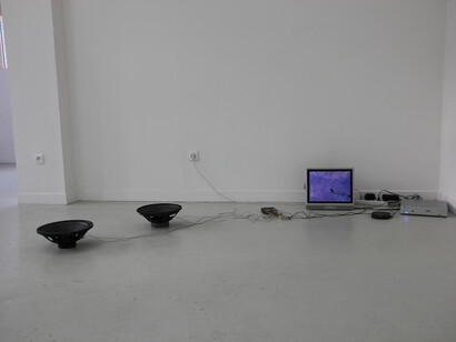 Two Large Blacks, 2005, 2 haut-parleurs, graphite, lecteur CD, amplificateur, lecteur DVD, dimensions variables, 2 loudspeakers, graphite, CD-player, amplifier, DVD-player, monitor, variable size