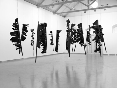 Rui Chafes, Acredito em tudo (I believe in everything), exhibition view. Courtesy of Galeria Filomena Soares