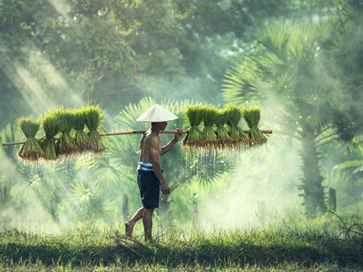 O motivo por sabermos o que sabemos hoje foi porque as atuais gerações tiveram oportunidade de aprender com o que foi criado antes de nós