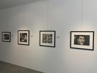 The Champ, Exhibition view. Courtesy of Richard Beavers Gallery