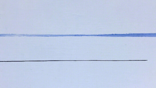 Eve Aschheim. Courtesy of Silas Von Morisse Gallery