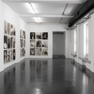 Eggs and rarities. Courtesy of Otto Zoo