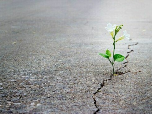 Il concetto di resilienza viene dalla fisica e indica il grado di resistenza di un metallo ad uno shock