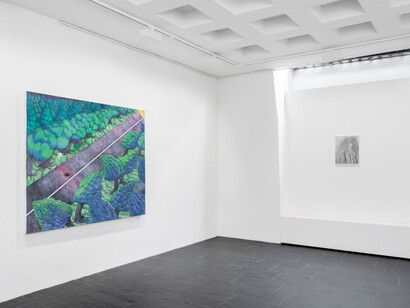 Chen Sixin, Pale world, exhibition view. Courtesy of Galerie Urs Meile