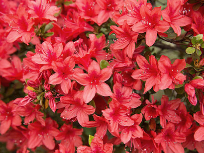 Amarsi e accettarsi per ciò che si è ci cambia la vita