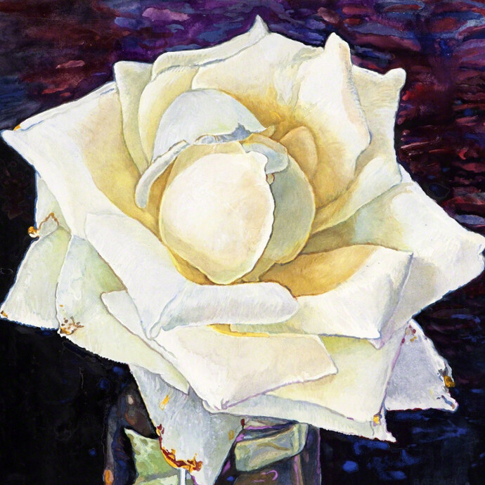 Joseph Raffael. Courtesy of Nancy Hoffman Gallery
