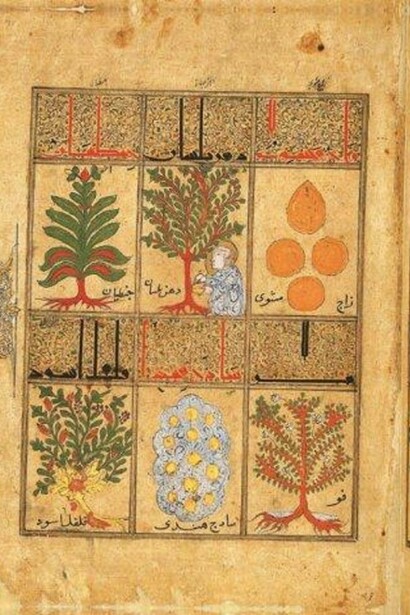 Pages of the facsimile Kitâb al-Diryâq