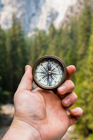 Soltanto il tuo vero sentire, il tuo desiderio di scoprire diventa la bussola che ti farà arrivare a vivere la vita per cui sei nato