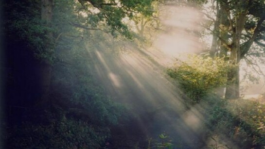 Harry Cory Wright, Dew Pond and Thirty Second Smoke Generator, 2012, C print, 58 x 71 in / 148 x 180cm, Edition of 3