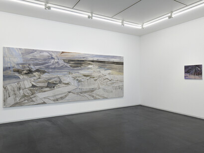 Reika Takebayashi, A petal falling, exhibition view. Courtesy of Taka Ishii Gallery 