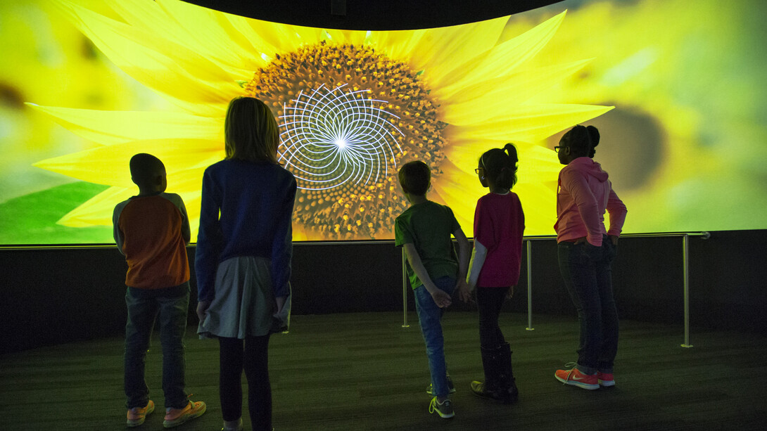 Numbers In Nature: A Mirror Maze. Courtesy of Museum of Science and Industry