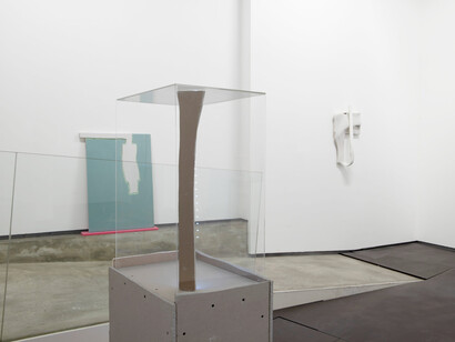 Gediminas G. Akstinas, Pose, exhibition view. Courtesy of PM8/Francisco Salas Gallery