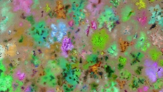 Cai Jin, Landscape No.17, 2008, Oil on canvas, 59 x 59 in