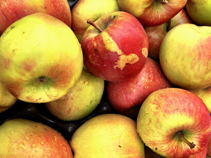 Ugly apples
