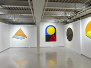 Leo Valledor. Courtesy of David Richard Gallery