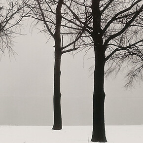 Harry Callahan, American, 1912–1999, Chicago, 1950