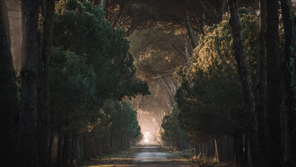 Il nostro futuro come collettività umana