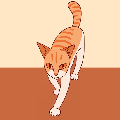 Ogni mattina do da mangiare ai gatti: forse sono loro, in fondo, a ricordarmi che casa significa condividere
