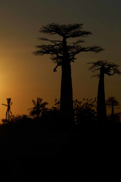Spesso non ci si rende conto di quanto rimaniamo imbrigliati nelle influenze familiari