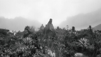 Vereda La Nevera es una zona en el Valle del Cauca, Región del Pacífico y tiene una altitud de 2.465 metros. Vereda La Nevera se encuentra cerca de la localidad de El Salado, así como de El Socorro, Colombia
