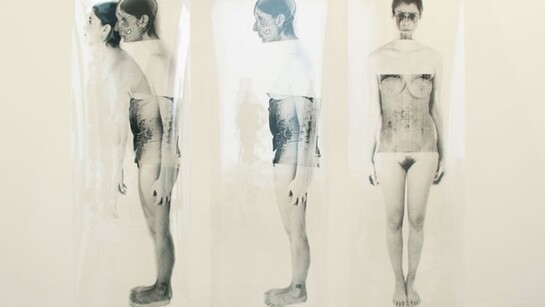 1.Giancarlo Marcali, Doppelgänger, avanzamento, 2012. Installazione, foto incisione su pellicola Agfa, cm 200 x 200 x 20