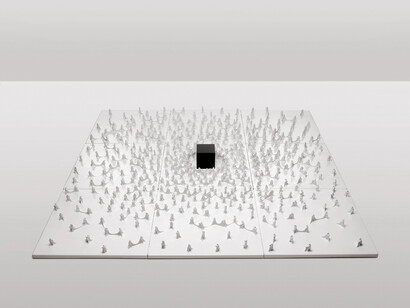 Untitled + cube with noise secret 2010, Polystyrene thermoforming, vood, enamel, secret item, cm 210x210x16 Installation, 54th Venice Biennal, Arsenal, Venice. Photo: Gino Di Paolo.